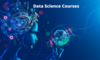 Data Science Courses Image